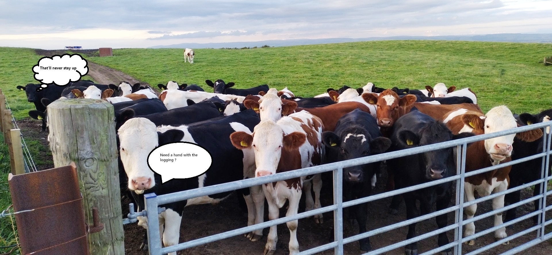 6-7 Sept 2025 – 2m Trophy Contest by Brian GM4DIJ/P near Stranraer